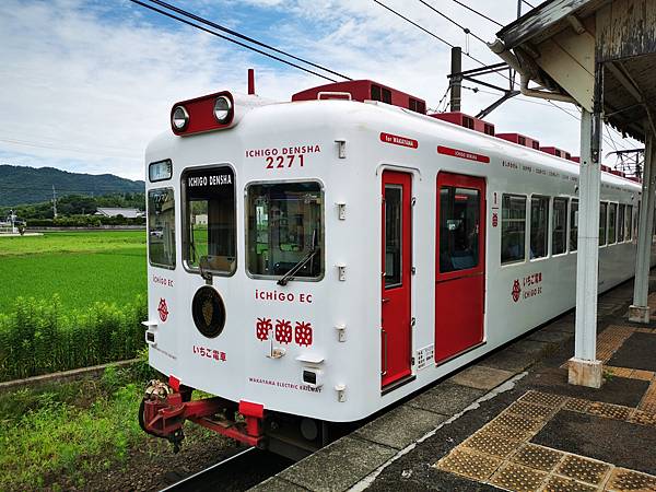 IMG_20190710_104424.jpg IMG_20190710_104424.jpg