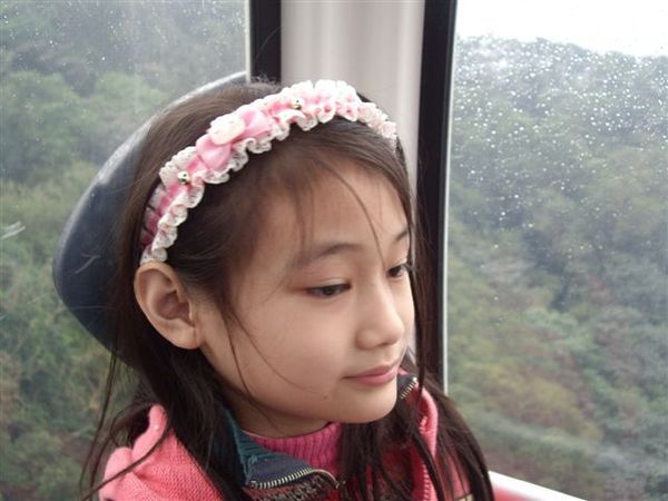 20080222貓空纜車與煎茶苑 022.jpg