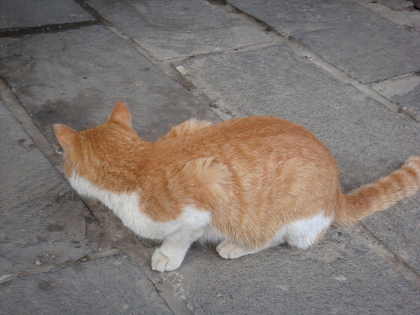 DSC05121.JPG