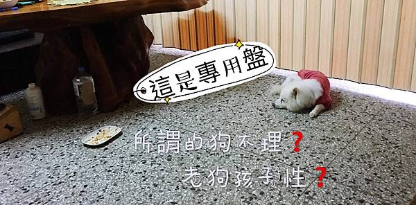 IMG_1680.JPG IMG_1680.JPG