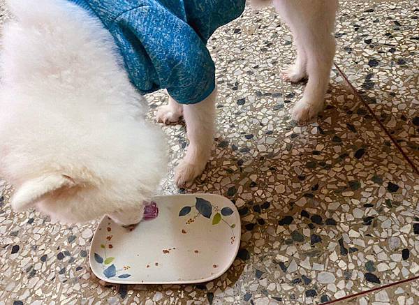 IMG_1689.JPG IMG_1689.JPG