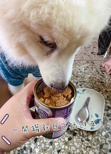 IMG_1693.JPG IMG_1693.JPG