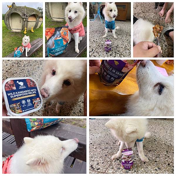 IMG_1707.JPG IMG_1707.JPG