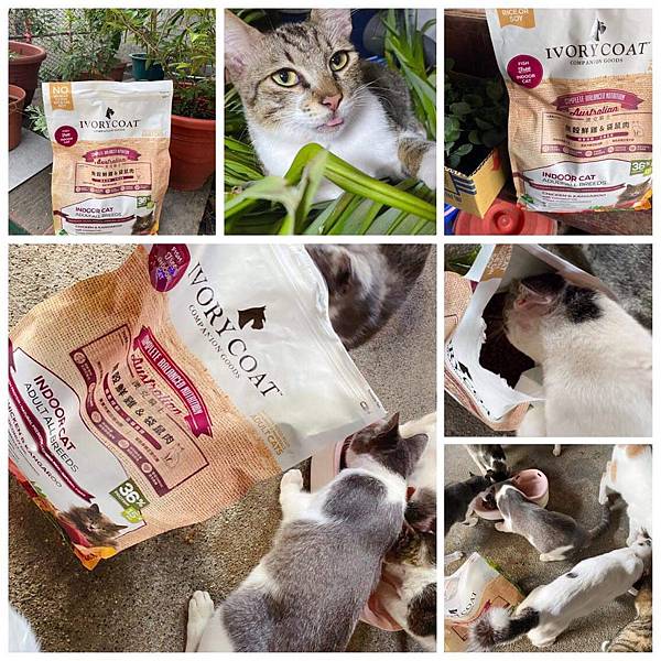 IMG_1740.JPG IMG_1740.JPG