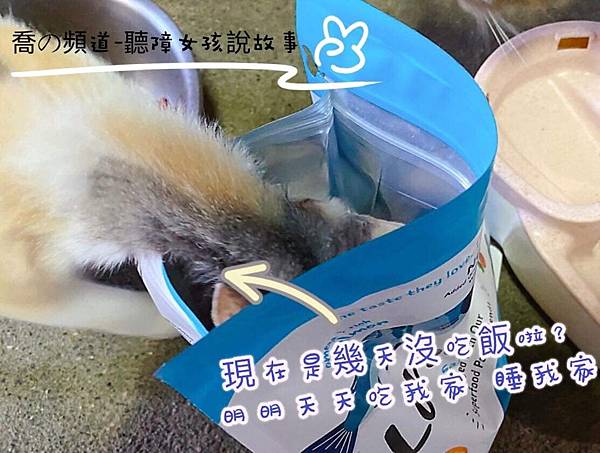 IMG_2307.JPG IMG_2307.JPG