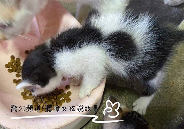 IMG_2310.JPG IMG_2310.JPG