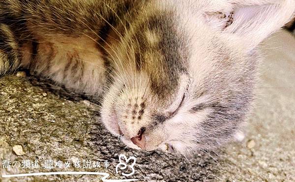 IMG_2318.JPG IMG_2318.JPG