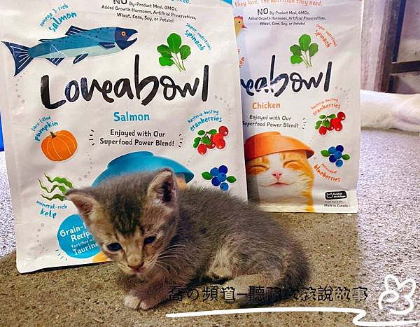 IMG_2315.JPG IMG_2315.JPG