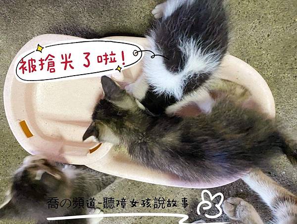 IMG_2300.JPG IMG_2300.JPG