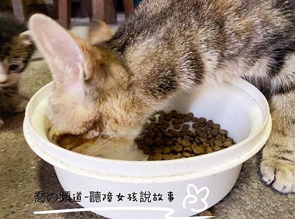 IMG_2301.JPG IMG_2301.JPG