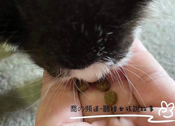 IMG_2304.JPG IMG_2304.JPG