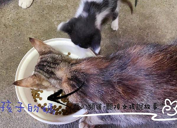 IMG_2309.JPG IMG_2309.JPG