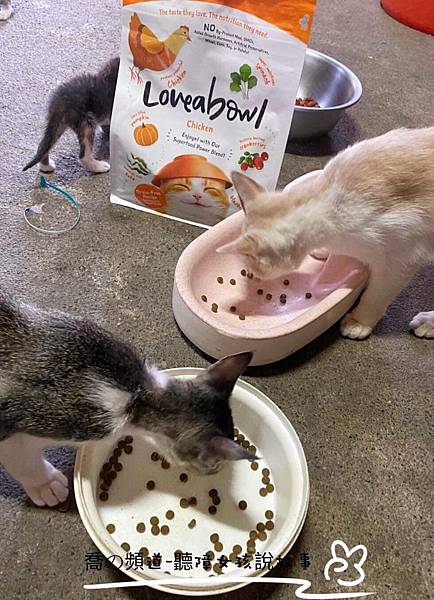 IMG_2311.JPG IMG_2311.JPG