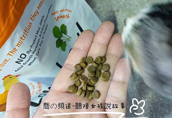 IMG_2313.JPG IMG_2313.JPG