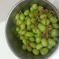 綠無子葡萄