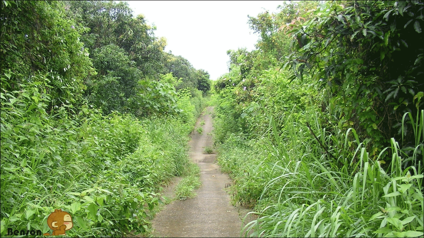 SANY0040 SANY0040