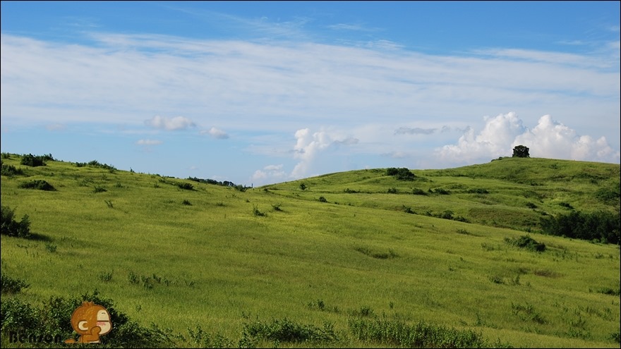 DSC_0019 DSC_0019