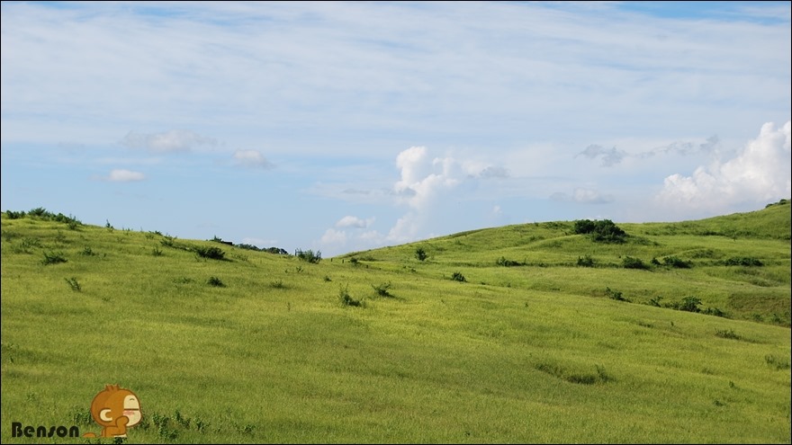 DSC_0021 DSC_0021