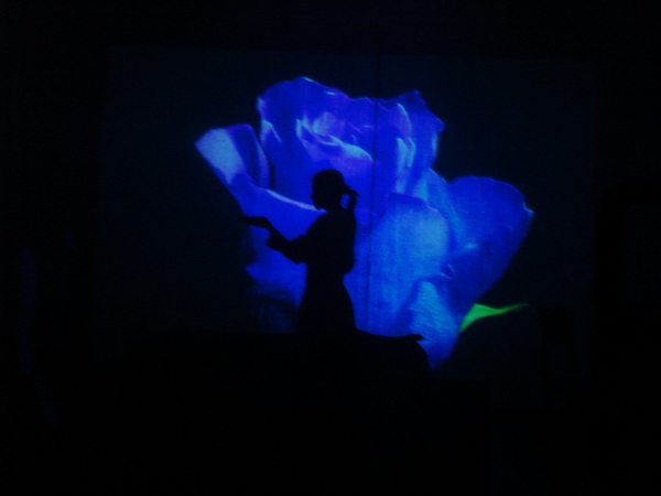 Blue Roses.JPG