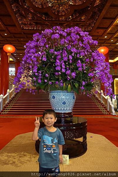 DSC03537.JPG DSC03537.JPG