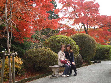 箱根紅葉之旅 日本觀察日記之德國漢堡奮鬥中 痞客邦