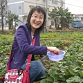 草莓的味道