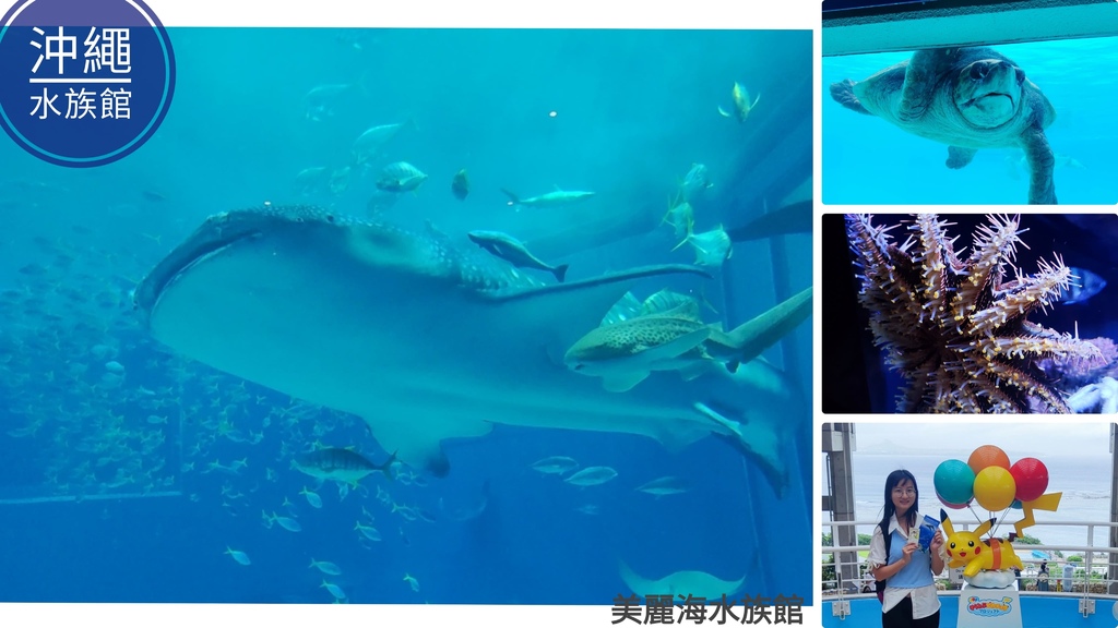 沖繩美麗海水族館門票_沖繩美麗海水族館交通_沖繩美麗海水族館營業時間_沖繩美麗海水族館鯨鯊_沖繩美麗海水族館海豚表演_沖繩美麗海水族館黑潮之海_沖繩美麗海水族館門票優惠_沖繩美麗海水族館附近景點_沖繩美麗海水族館官方網站_沖繩美麗海水族館深海體驗室_沖繩美麗海水族館餵食時間_沖繩美麗海水族館購票_沖繩美麗海水族館停車場_沖繩美麗海水族館住宿推薦_沖繩美麗海水族館餐廳_沖繩美麗海水族館地圖_沖繩美麗海水族館評價_沖繩 (.jpg