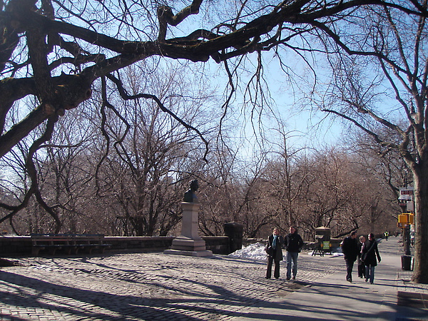 美麗的中央公園