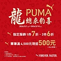 03010310 PUMA-1.jpg