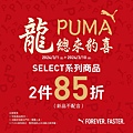 03010310 PUMA-2.jpg