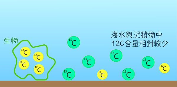 碳12碳13含量.png