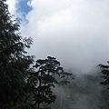 山林/雲霧