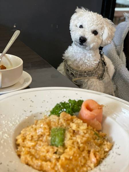 [食記] 桃園八塊畫室 這不是小時候看病的診所嗎?