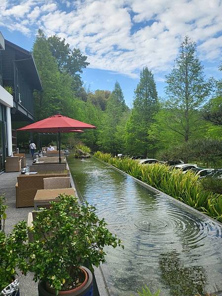[食記] 台中松之戀 超美落雨松仙境