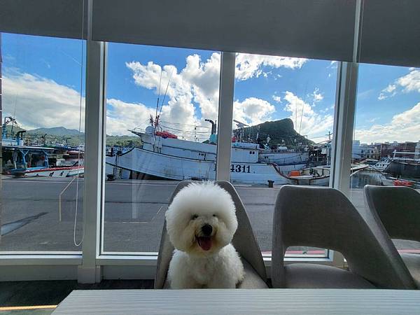 [食記] 瑞芳CAFE LADOO 深澳漁港象鼻岩海景咖啡
