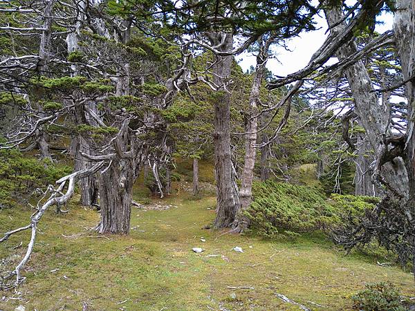 雪山翠池2020/9/14~16