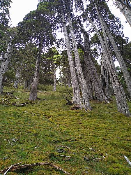 雪山翠池2020/9/14~16