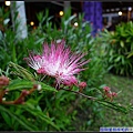 花.jpg