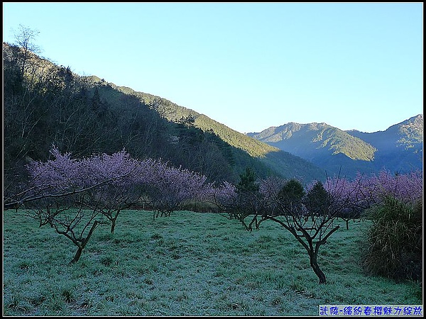 下面的草地可是結滿了霜呢！.jpg