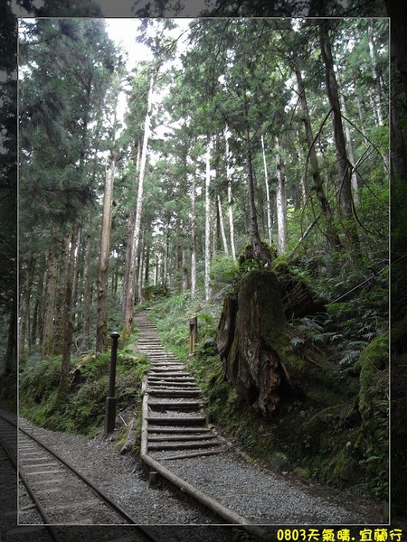 茂興山棧步道.jpg