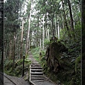 茂興山棧步道.jpg