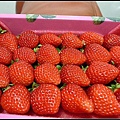 有草莓香，口水都快流出來了~.jpg
