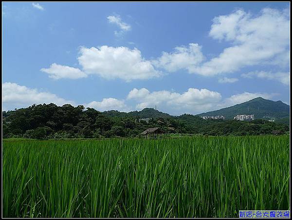 大雨刷過的天空，好乾淨！.jpg