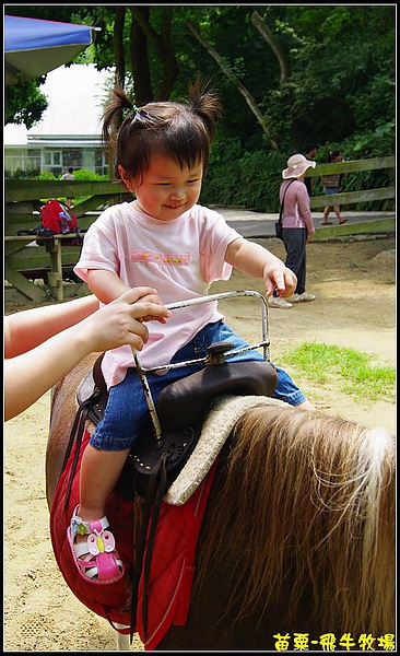 換騎小馬囉，整個沒在怕.jpg