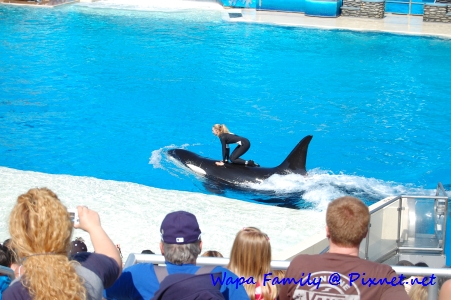 Sea World 028.jpg