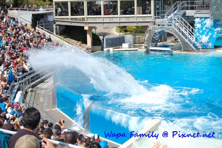 Sea World 034.jpg