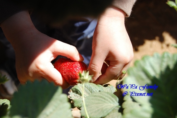 Stawberry & Solana Beach City Beach 010.jpg