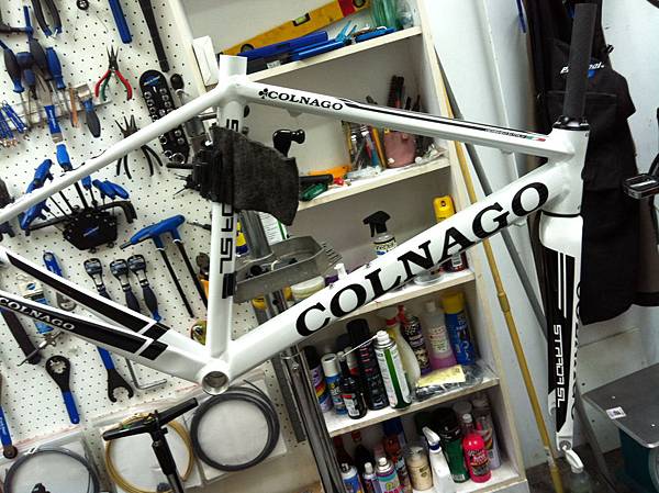 Colnago鋁合金車架