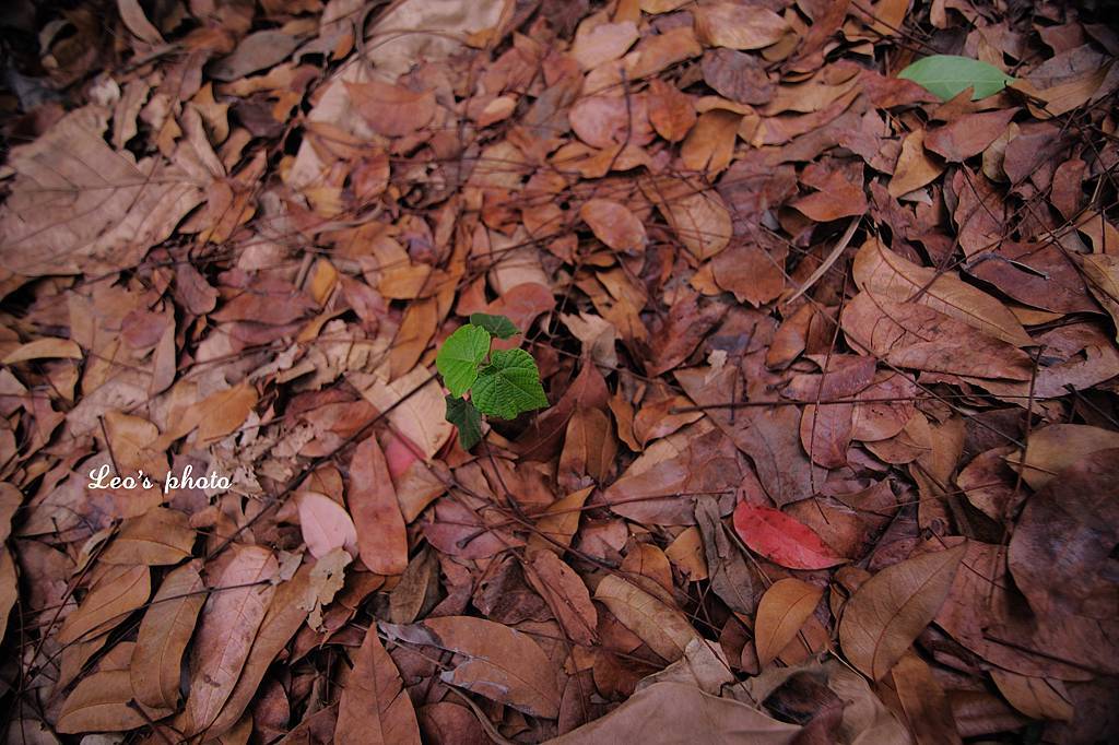 DSC_1205 DSC_1205