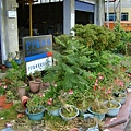 DSC02010.JPG